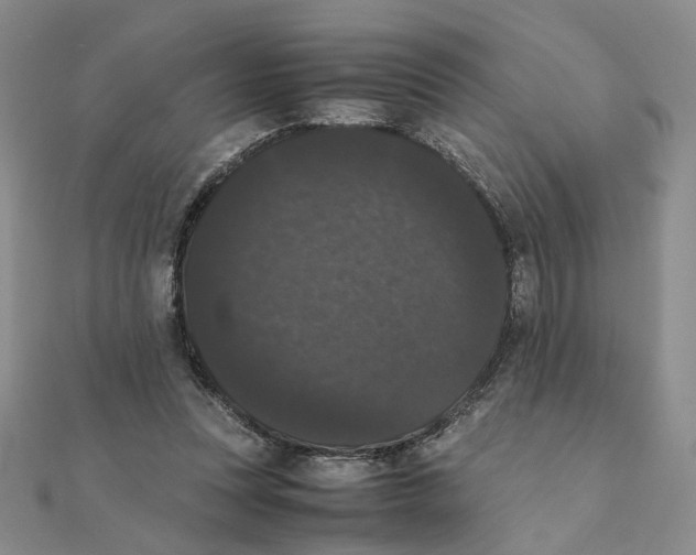 X0000111370351200908071219