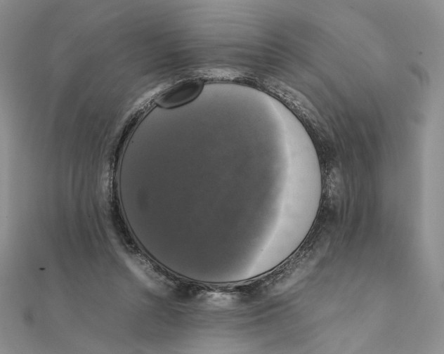 X0000111370352200908071219