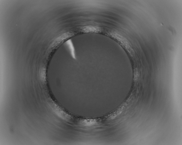 X0000111370353200908071219