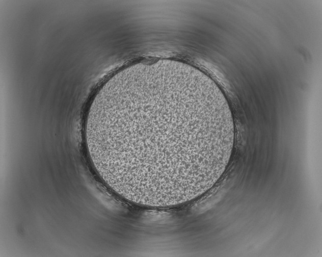 X0000111370354200908071219