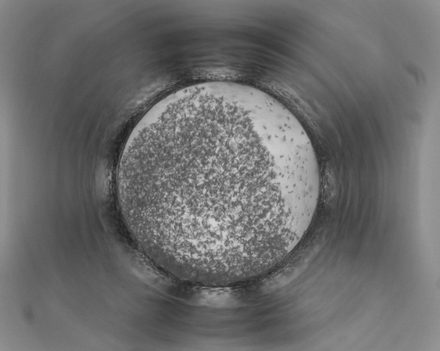 X0000111370355200908071219