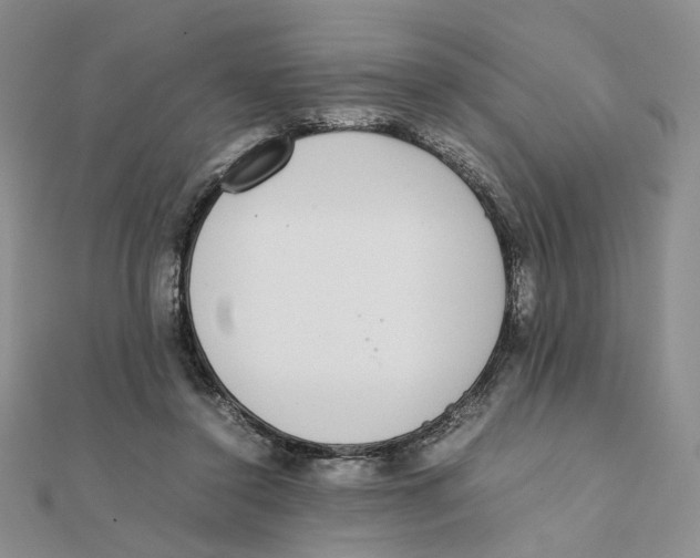 X0000111370356200908071219