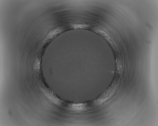 X0000111370357200908071219
