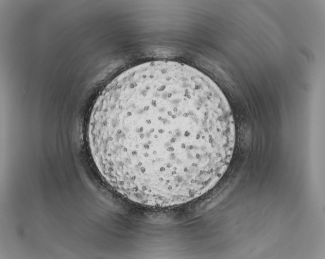 X0000111370358200908071219