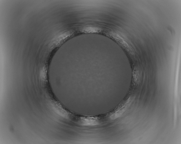 X0000111370359200908071219