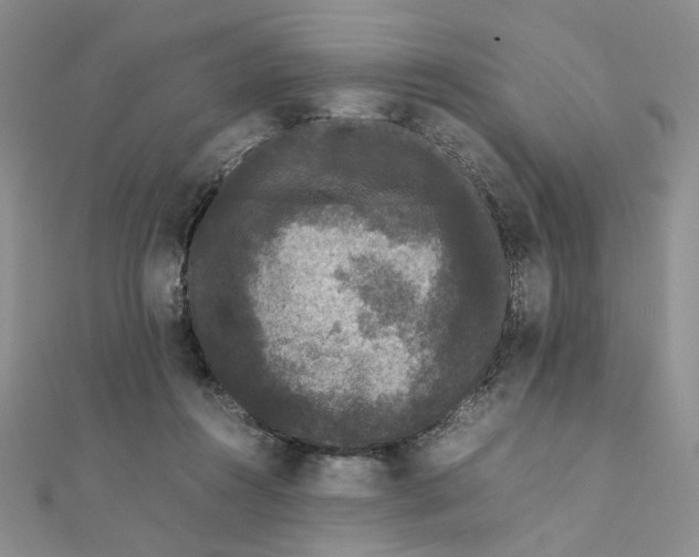 X0000111370360200908071219