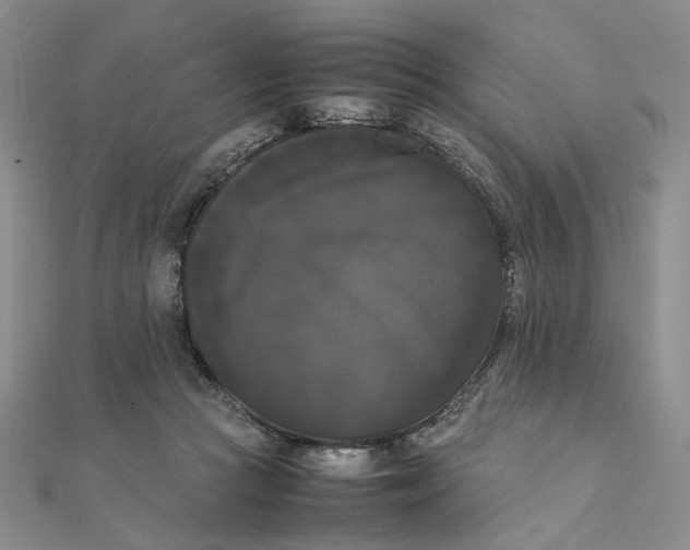 X0000111370361200908071219