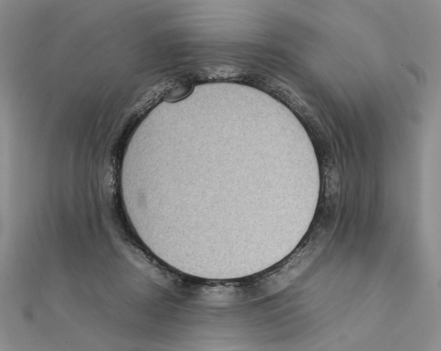 X0000111370362200908071219