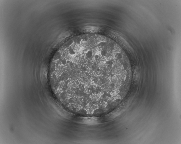 X0000111370363200908071219