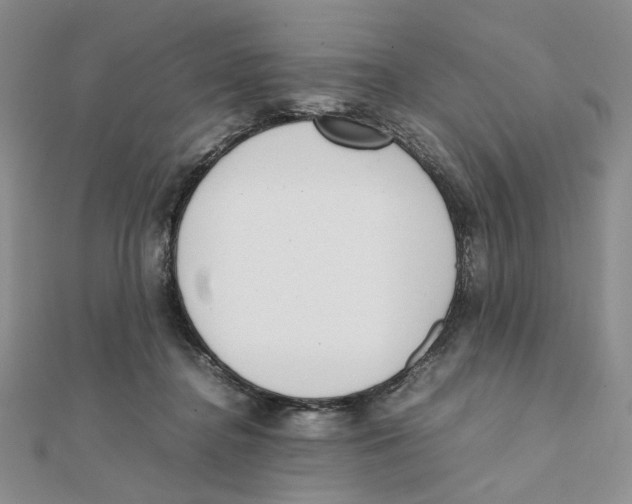 X0000111370364200908071219