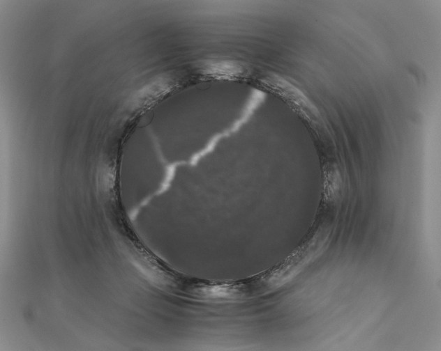 X0000111370365200908071219