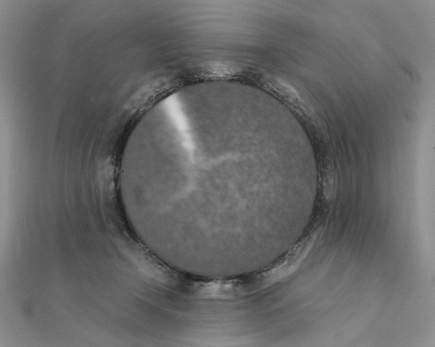 X0000111370366200908071219