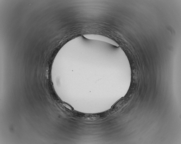 X0000111370368200908071219