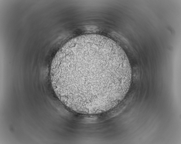 X0000111370369200908071219