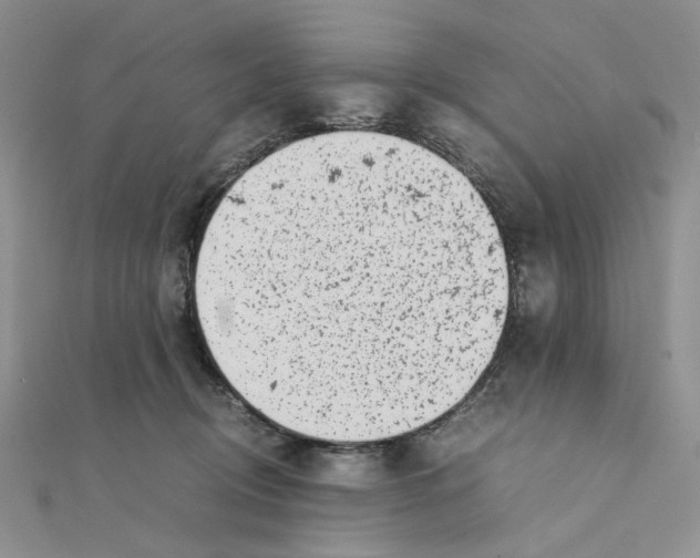 X0000111370370200908071219