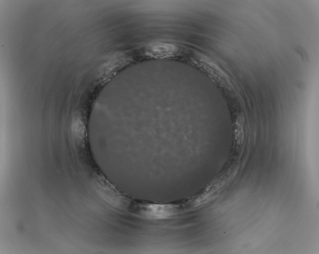 X0000111370371200908071219
