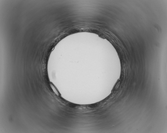 X0000111370372200908071219