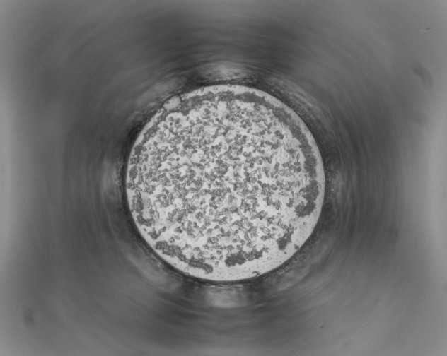X0000111370373200908071219