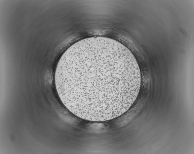X0000111370374200908071219