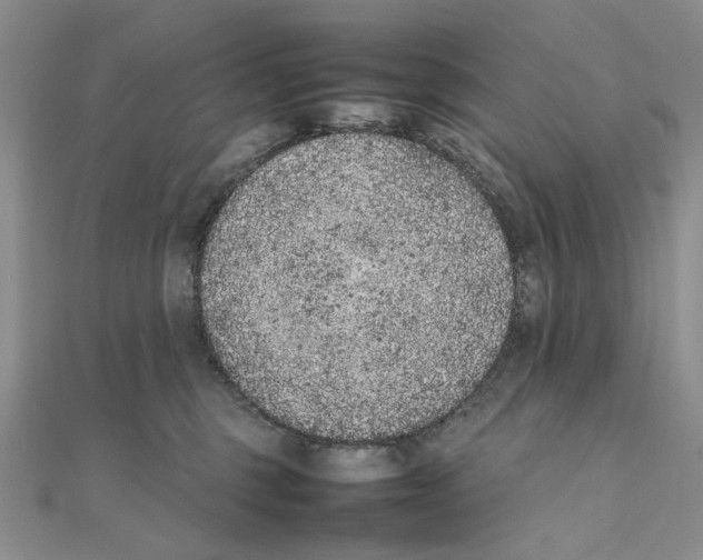 X0000111370375200908071219
