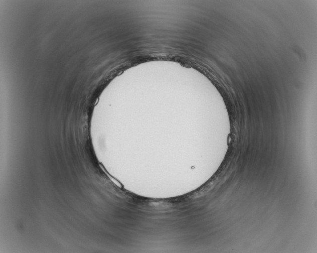X0000111370376200908071219