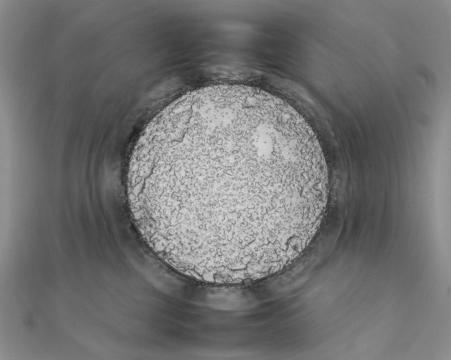 X0000111370377200908071219