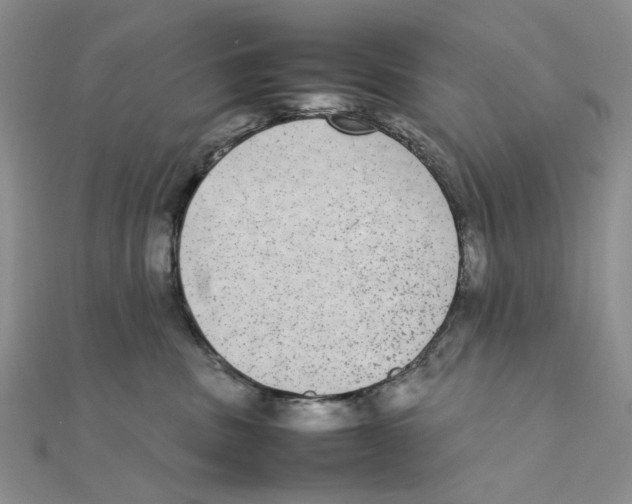 X0000111370379200908071219