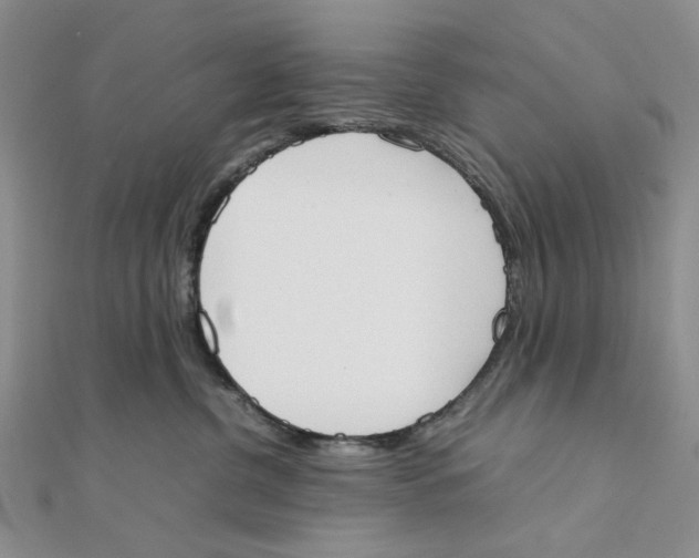 X0000111370380200908071219