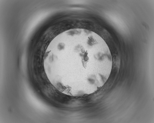 X0000111370381200908071219