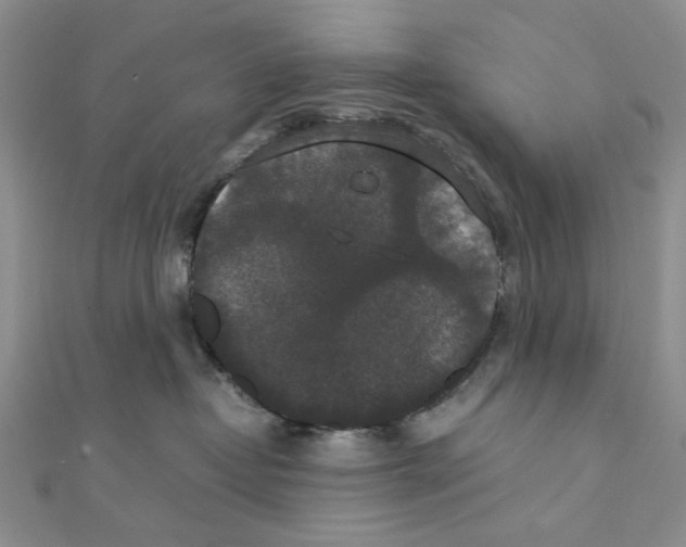 X0000111370382200908071219