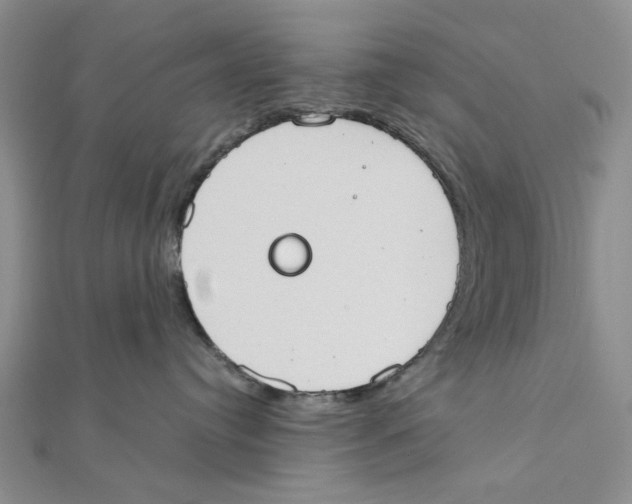 X0000111370384200908071219