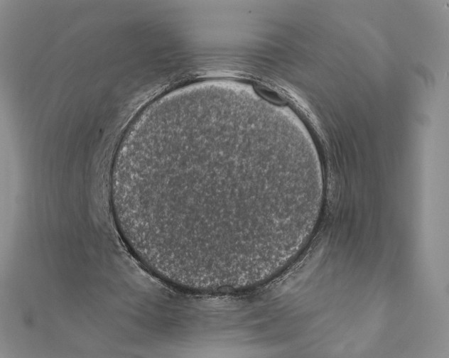 X0000111370385200908071218