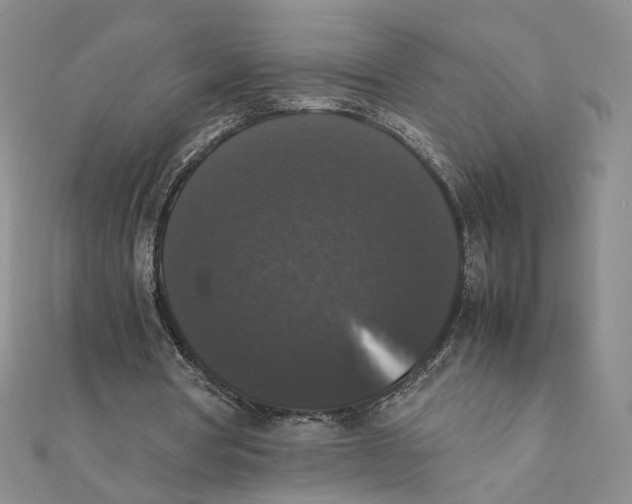 X0000111370386200908071218