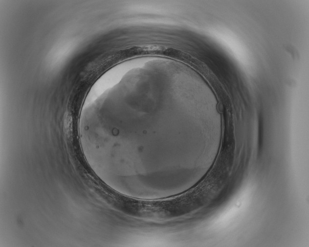 X0000111370387200908071218
