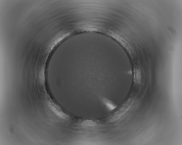 X0000111370390200908071218