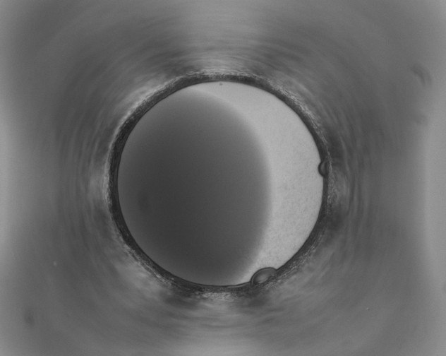 X0000111370391200908071218