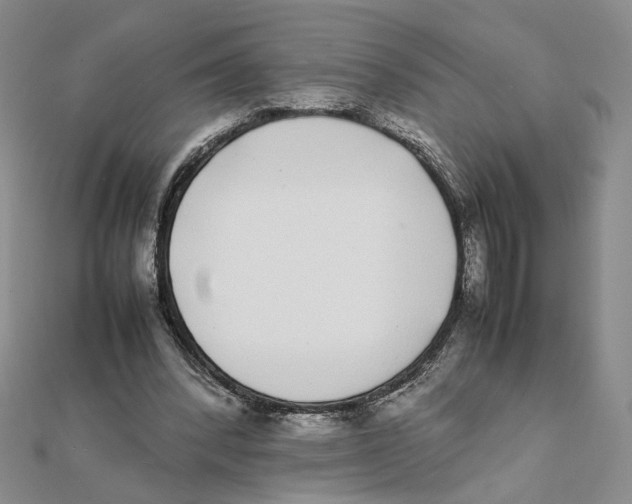 X0000111370392200908071218