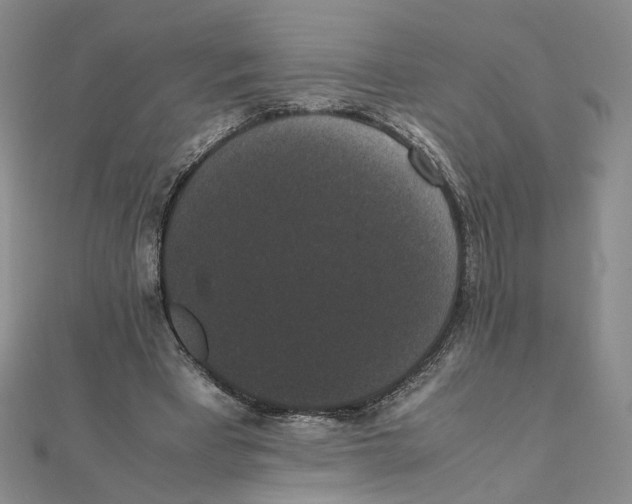 X0000111370393200908071218