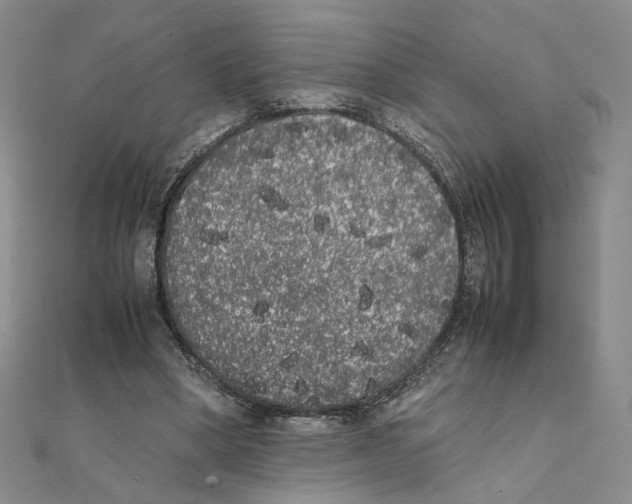 X0000111370394200908071218