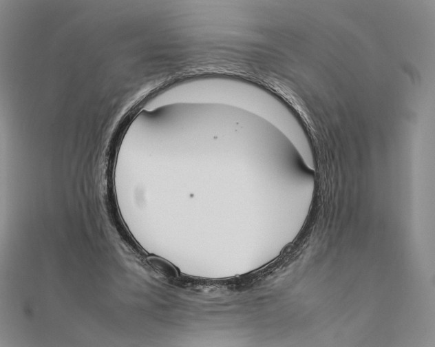 X0000111370395200908071218