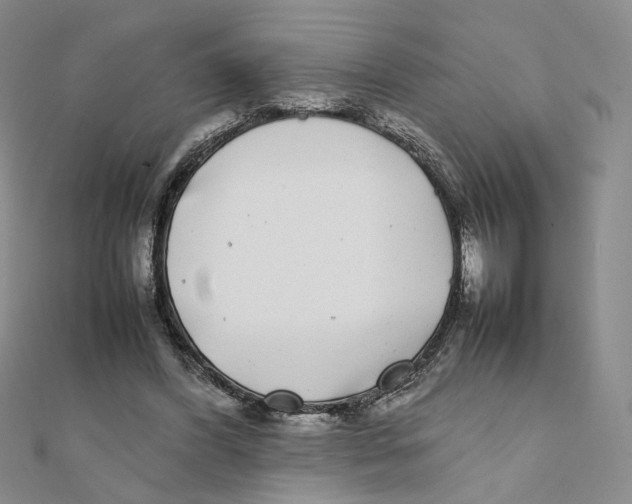 X0000111370396200908071218
