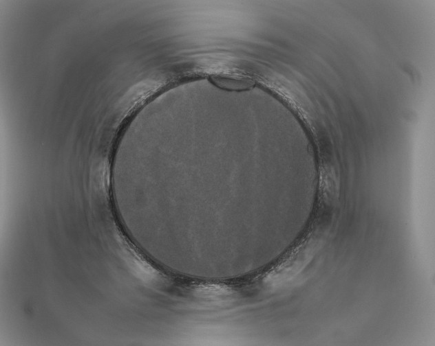 X0000111370397200908071218