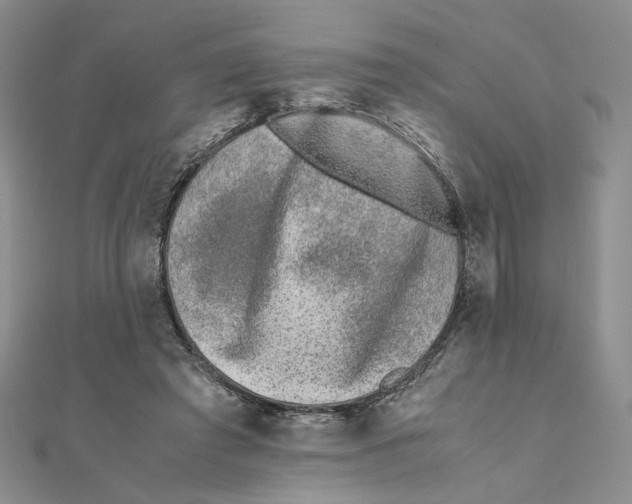 X0000111370401200908071218