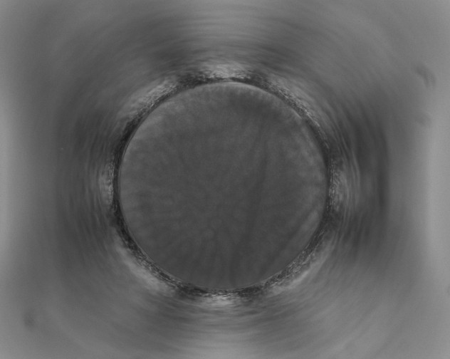 X0000111370402200908071218