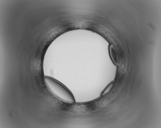 X0000111370403200908071218