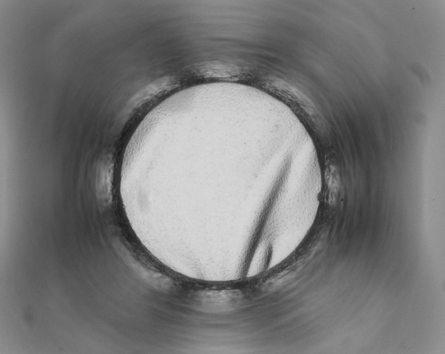 X0000111370404200908071218