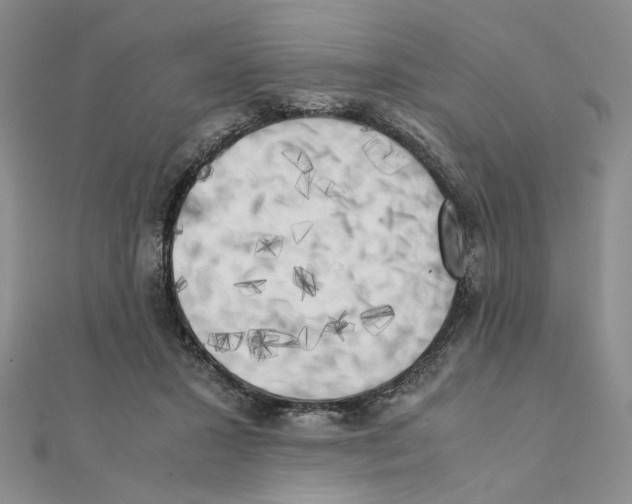 X0000111370407200908071218