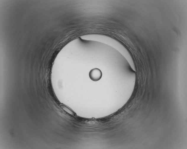 X0000111370409200908071218