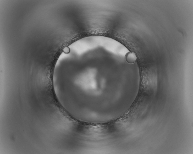 X0000111370411200908071218