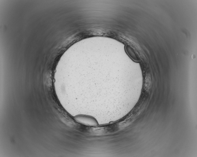 X0000111370413200908071218